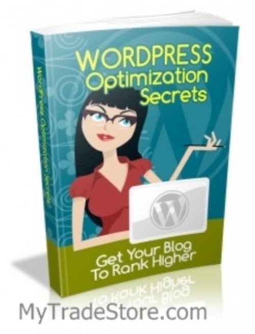 Product picture WordPress Optimization Secrets